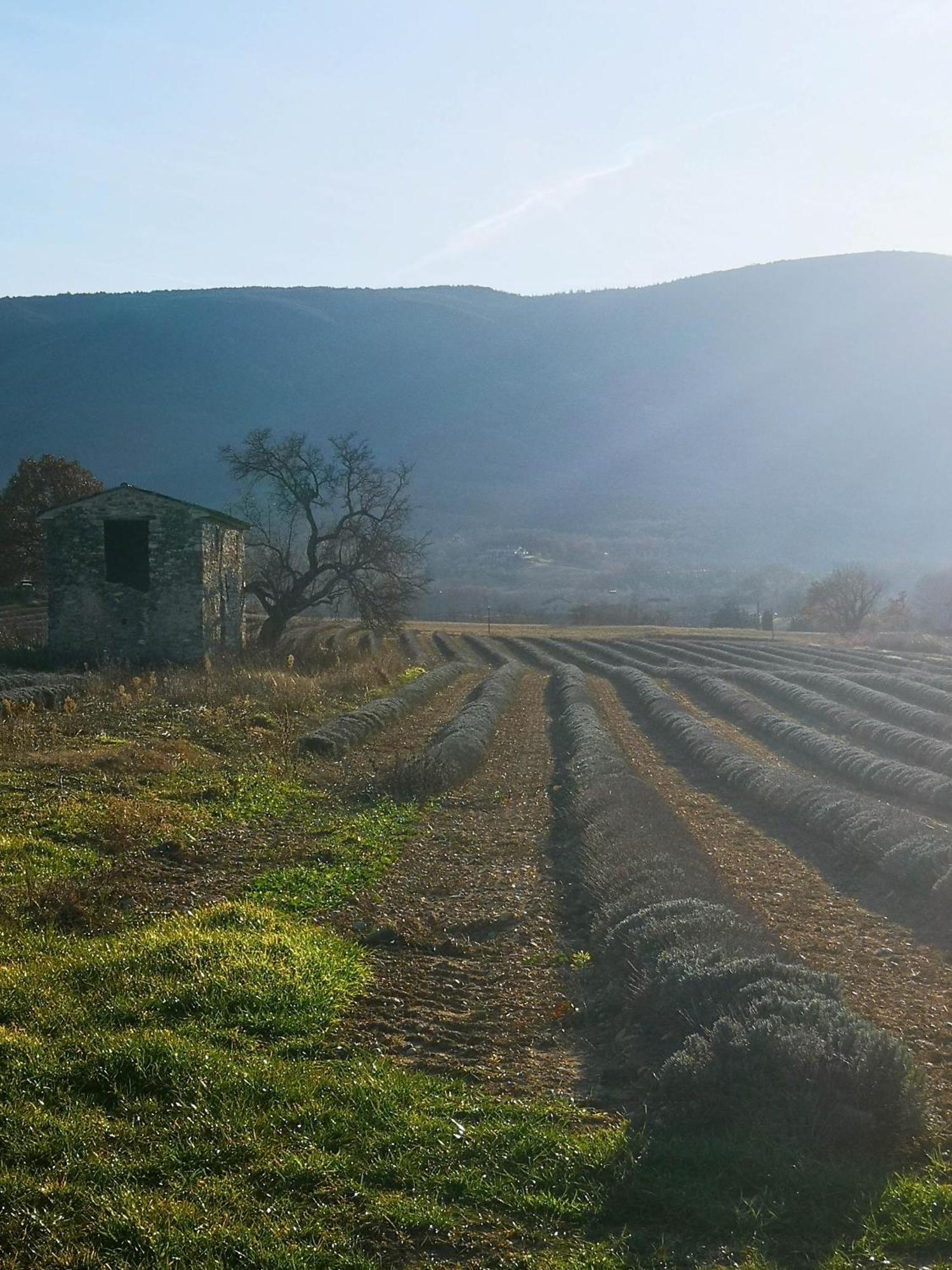 Vila Le Petit Paradis Saint-Martin-de-Castillon Exteriér fotografie